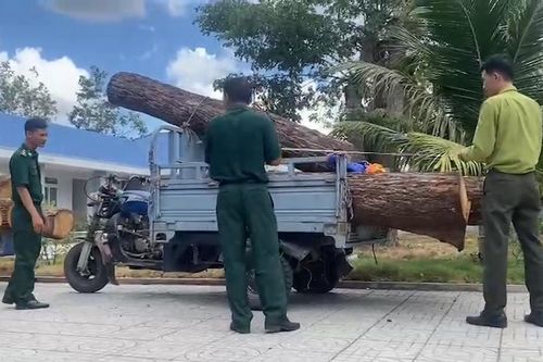 Bà Rịa – Vũng Tàu: Phát hiện vụ khai thác, vận chuyển lâm sản trái phép