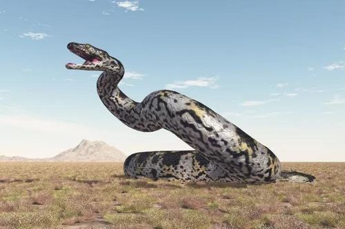 Phát hiện 'quái vật' rắn lớn nhất từng sống trên Trái Đất