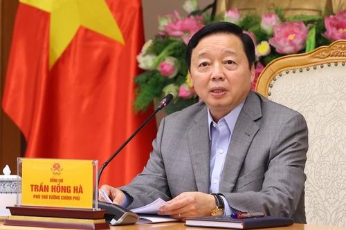 Sớm đề xuất mô hình hoạt động phù hợp cho Viện Nghiên cứu cao cấp về Toán