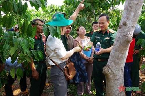 Binh đoàn 16: Tập huấn công tác kỹ thuật – khuyến nông năm 2024