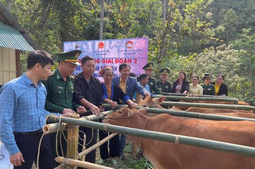 Được và mất khi lao động vùng cao ồ ạt rời bản làng (Bài 3)