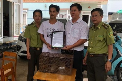 'Khách quý' đi lạc vào nhà dân được trao trả Vườn quốc gia Cát Tiên