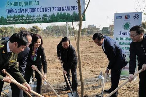 Ba năm thực hiện đề án trồng 1 tỷ cây xanh: Đô thị vẫn thiếu cây