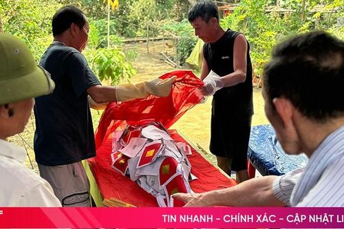 Xác cá Voi dài 1,2m dạt vào bờ sông Lam