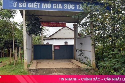 Lò giết mổ gia súc tiền tỷ bị bỏ hoang nhiều năm ở Hương Khê