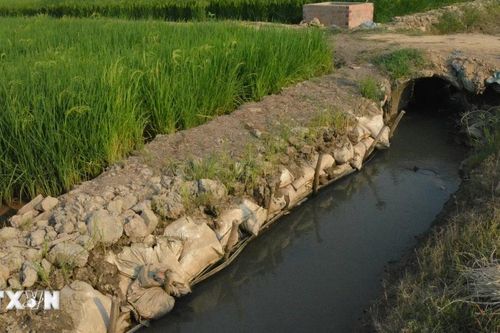 Vụ nghiệm thu khống công trình thủy lợi ở Đắk Lắk: 'Con voi suýt lọt lỗ kim'
