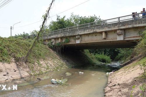 Xử phạt 2 doanh nghiệp vi phạm hành chính về bảo vệ môi trường
