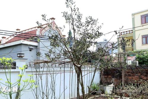Thái Bình: Khẩn trương xử lý sự cố rò rỉ khí amoniac