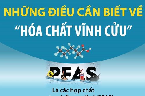 Những điều cần biết về 'hóa chất vĩnh cửu'