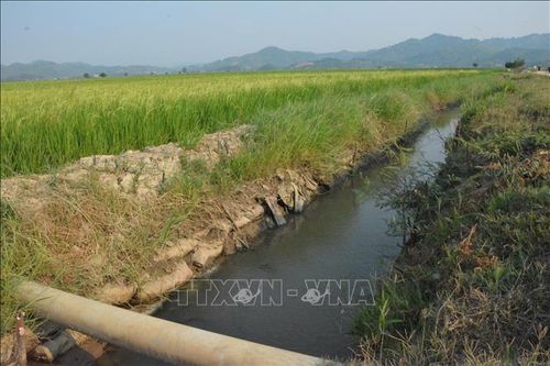 Vụ nghiệm thu 'khống' công trình thủy lợi ở Đắk Lắk: 'Con voi suýt chui lọt lỗ kim'