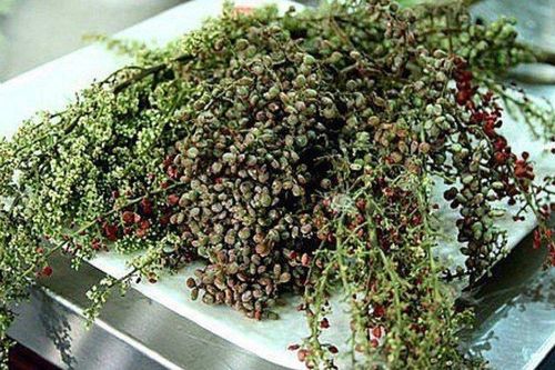 Loại quả có vị 'lạ' xưa không ai bán, giờ làm thành món đặc sản