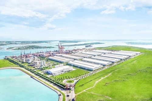 Cảng Chu Lai kết nối nông sản việt ra thị trường thế giới