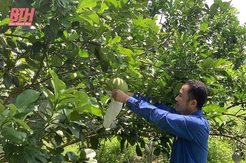 Ngọc Lặc quyết tâm hoàn thành xây dựng nông thôn mới