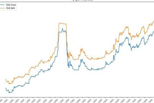 Ngân hàng Nhà nước bán USD giao ngay giá 25.450 VND/USD