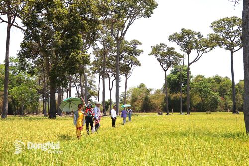 Xây dựng các sản phẩm du lịch độc đáo