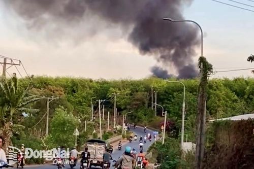 Cháy bãi rác tự phát trong lô cao su tại huyện Thống Nhất