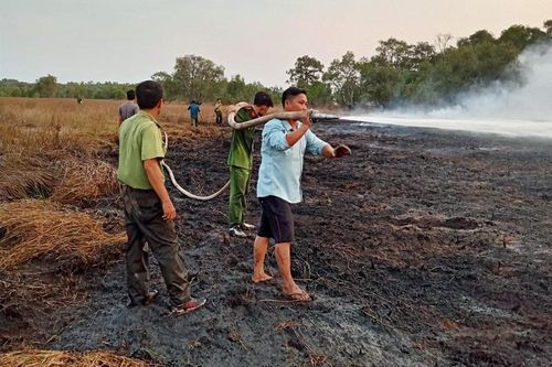 Kịp thời dập tắt 2 vụ cháy rừng tại Vườn Quốc gia Tràm Chim