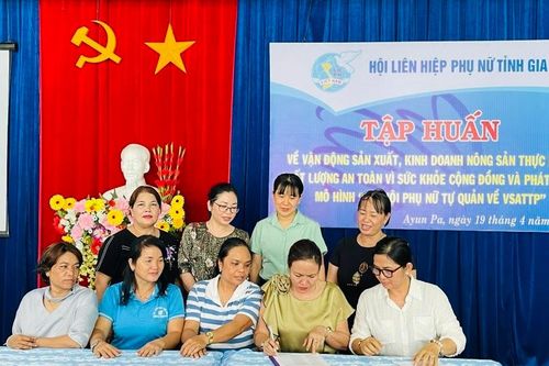 Tập huấn sản xuất kinh doanh thực phẩm an toàn cho 100 phụ nữ Ayun Pa