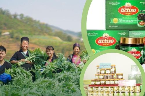 Bàn về xây dựng thương hiệu nông sản Lào Cai