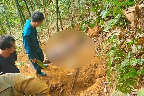 Bát Xát: 1 người bị đá đè tử vong khi đào con dúi trong rừng vầu