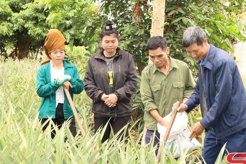 Sông Mã tập trung phòng chống hạn cho cây trồng
