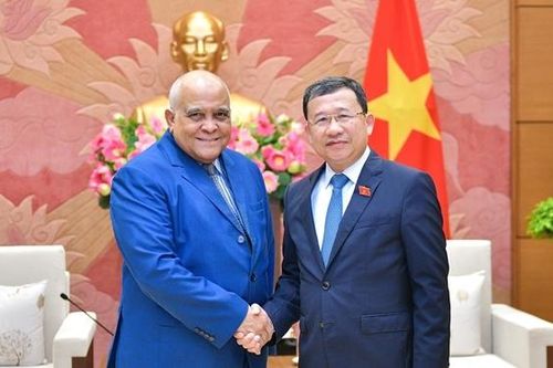 Chủ nhiệm Ủy ban Đối ngoại Vũ Hải Hà tiếp Đại sứ Cuba tại Việt Nam