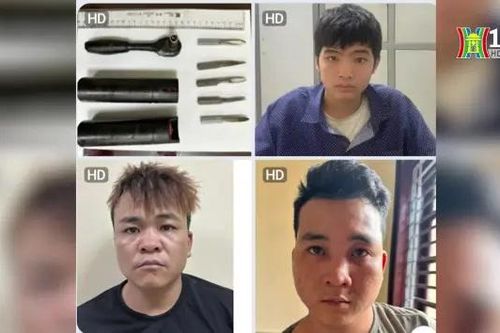 Bắt ổ nhóm tàng trữ ma túy, trộm cắp xe máy