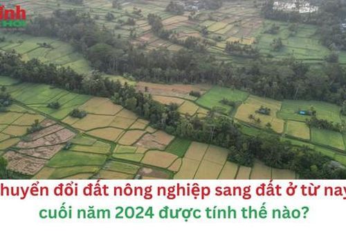 Phí chuyển đổi đất nông nghiệp sang đất ở từ nay đến cuối năm 2024 được tính thế nào?
