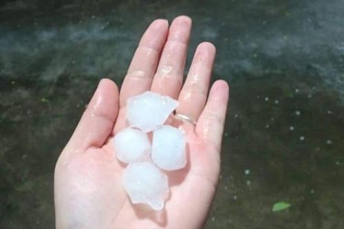 Mưa giông cực lớn, Hà Nội xuất hiện mưa đá, cây cối gãy đổ la liệt