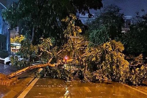 Hà Nội: Triển khai ứng trực, hạ mực nước khi mưa lớn gây ngập úng