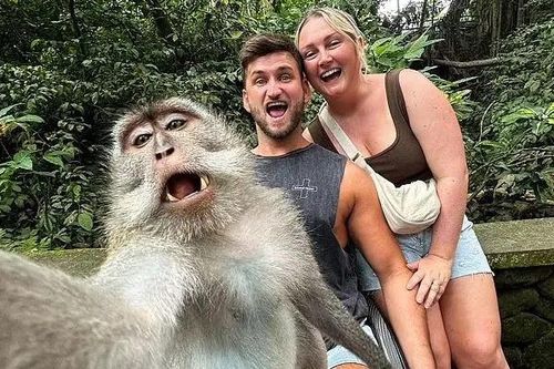 Bức ảnh khỉ đuôi dài selfie gây sửng sốt