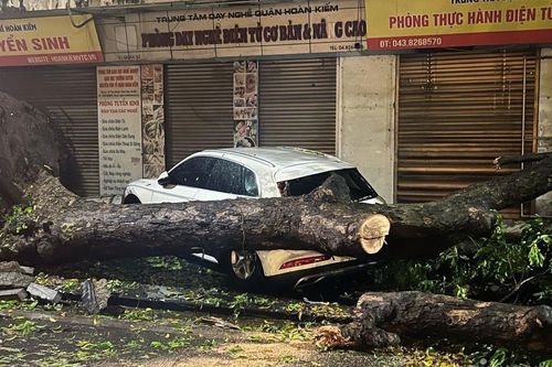 Giông lốc, mưa đá ở Hà Nội khiến nhiều cây xanh bật gốc