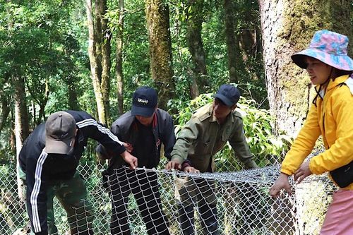 Khởi sắc liên kết sản xuất trong đồng bào dân tộc thiểu số vùng Tây Nguyên: Cần thêm 'bệ đỡ'