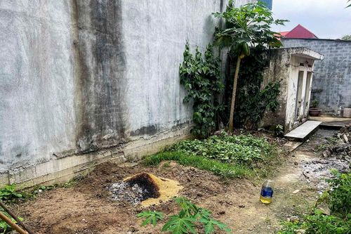 Thi thể nữ sinh 15 tuổi trong vườn chuối ở Hải Phòng