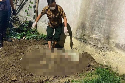 Khai quật thi thể nữ sinh bị bạn trai sát hại, chôn sau vườn chuối