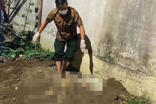 Lời khai của nghi phạm sát hại bạn gái, chôn xác phi tang trong vườn chuối