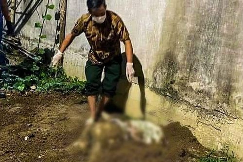Nguyên nhân thiếu nữ 15 tuổi ở Hải Phòng bị sát hại