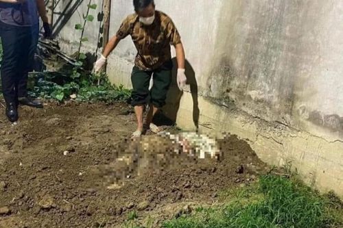 Lời khai của nghi phạm 15 tuổi sát hại bạn gái, phi tang trong vườn chuối