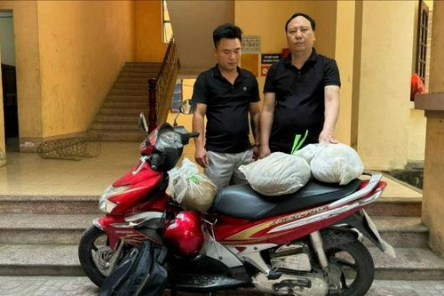 Bắt 2 đối tượng vận chuyển trái phép động vật quý hiếm