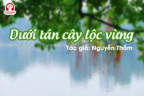 Tản văn hay: Dưới tán cây lộc vừng