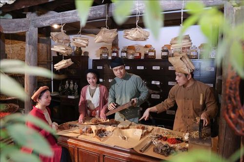Bảo tồn phố nghề Đông Nam dược Lãn Ông trong khu Phố cổ Hà Nội