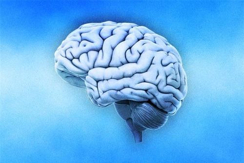 Hội chứng 'não tháng 1' là có thật: Trong tháng này não của chúng ta hoạt động khác với 11 tháng còn lại trong năm?