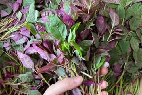 Loại rau dân dã giàu sắt gấp 4 lần thịt bò, giá lại rẻ bèo chợ nào cũng bán