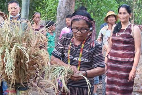 Chị em Chơro góp phần bảo tồn Lễ hội Sayangva của dân tộc
