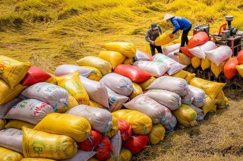 Chiếm hơn 32% thị phần, Việt Nam là quốc gia xuất khẩu gạo lớn nhất sang Singapore