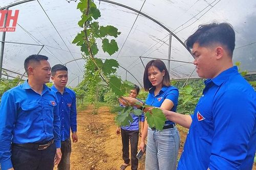 Khơi dậy tinh thần khởi nghiệp, tiềm năng sáng tạo trong đoàn viên, thanh niên
