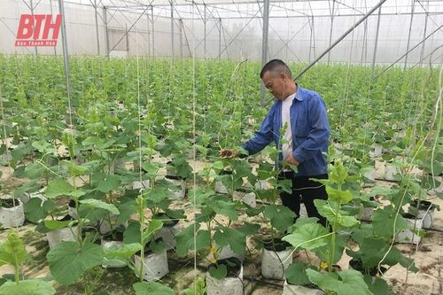 Hội Nông dân Quảng Xương thi đua sản xuất, kinh doanh giỏi gắn với XDNTM