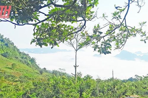 Khám phá đồi Hích