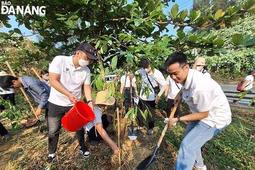 Gần 700 tình nguyện viên tham gia 'Clean up Son Tra - Vì một Sơn Trà xanh'