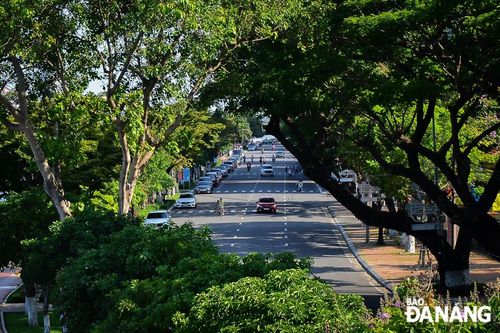 Cần có những quầy sách báo trên tuyến phố đi bộ Bạch Đằng